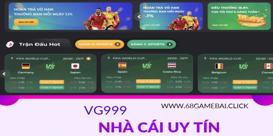 VG999