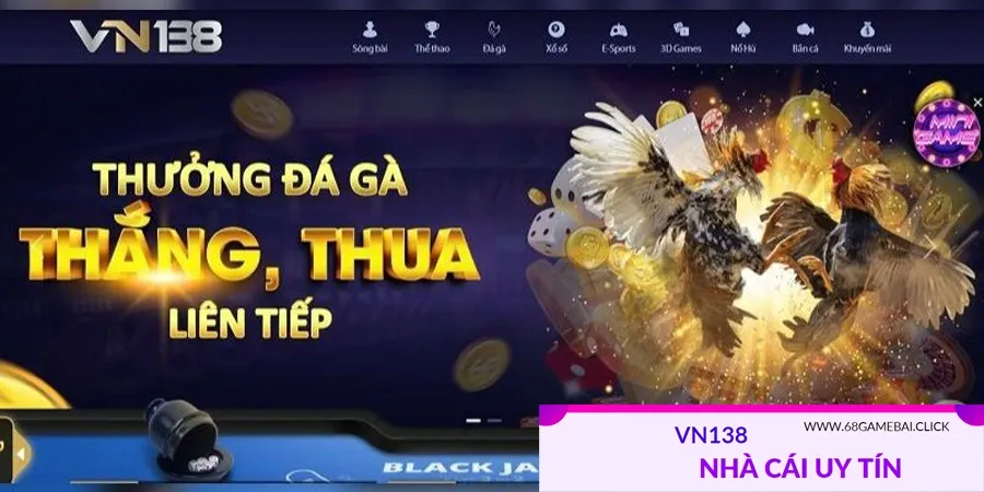 VN138