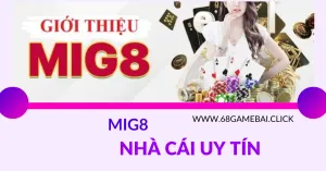 mig8