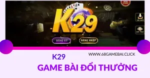 K29